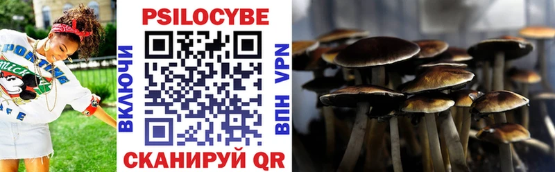 Псилоцибиновые грибы Cubensis  Купить закладки  Кирсанов 